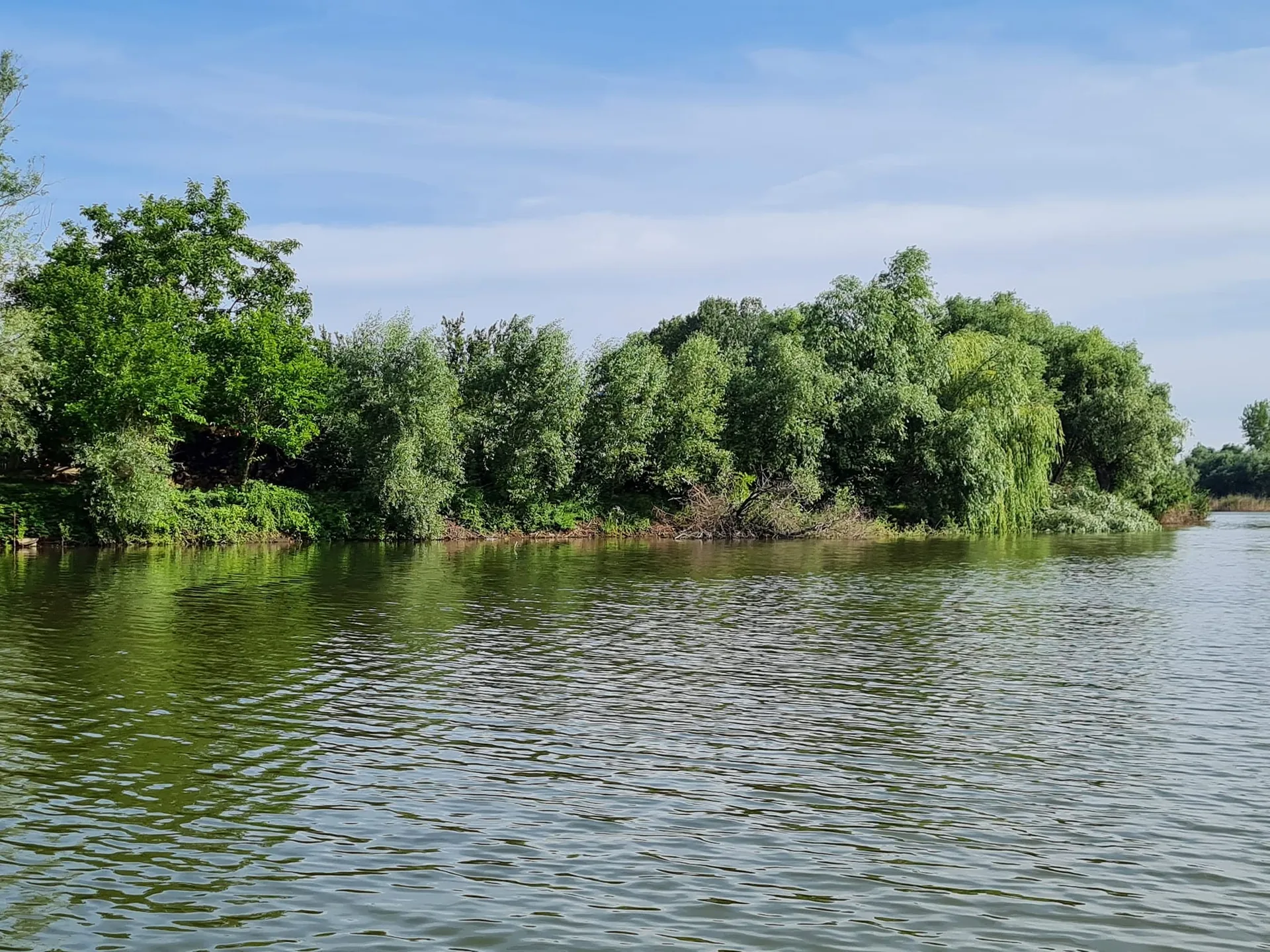 Mámai-Holt Tisza